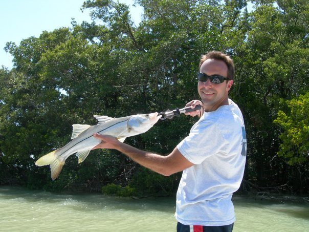 Common Snook Common Snook