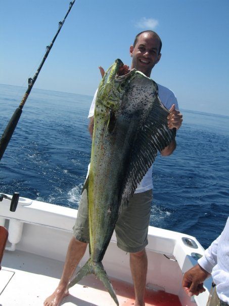 Mahi Mahi Mahi Mahi