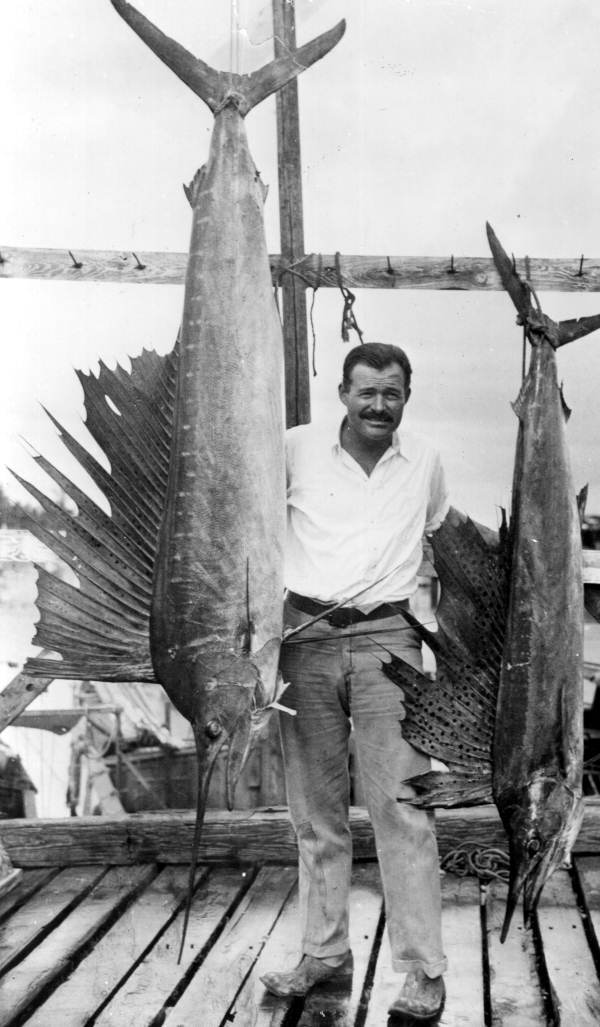 Sailfish Sailfish