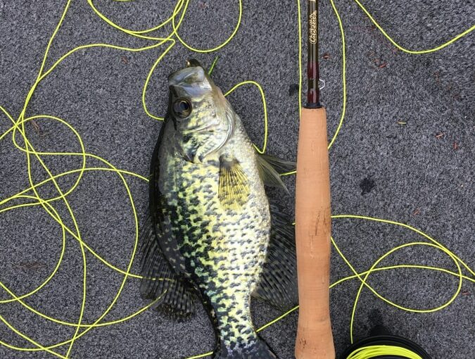 Crappie Fishing Tips Crappie Fishing Tips