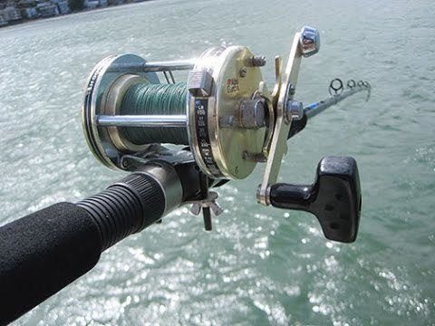 Electric Fishing Reel Review