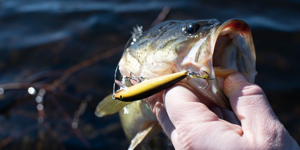 Topwater Bass Fishing Lures Topwater Bass Fishing Lures