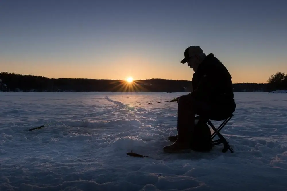 7 Best Ice Fishing Flashers + Buying Guide