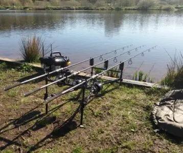 18 Carp Fishing Tips for Beginners: How to Catch Carp