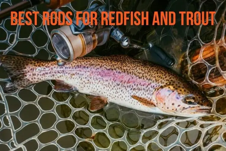 10 Best Rods for Redfish and Trout Fishing + Buying Guide