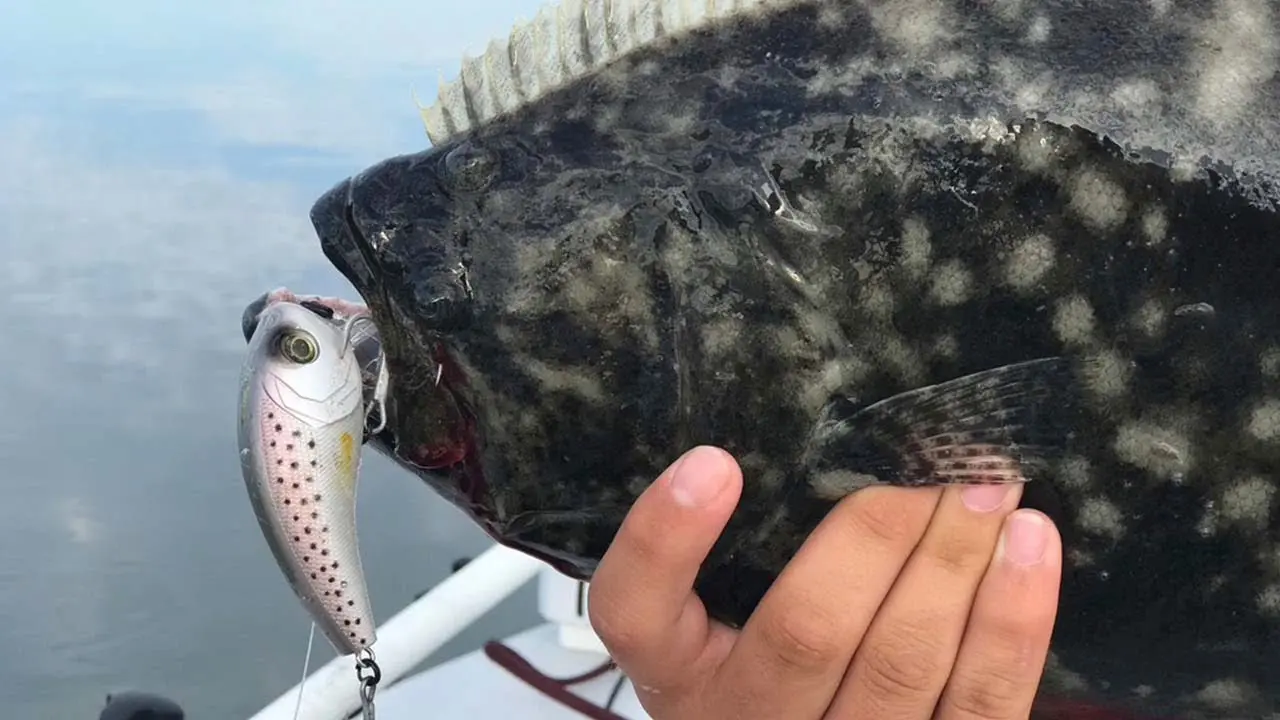 7 Best Flounder Lures + Buying Guide