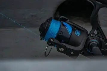 10 Squid Jigging Tips for Beginners: How to Catch Squid